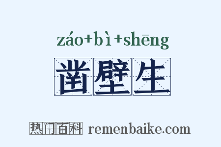 凿壁生是什么意思的图片